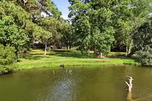 860 Shem Dr N, Mount Pleasant, SC 29464 - Photo 29