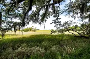2138 Landfall Way, Seabrook Island, SC 29455 - Photo 21