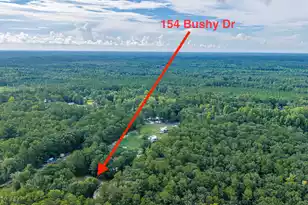 154 Bushy Dr, Walterboro, SC 29488 - Photo 97