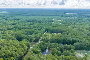 154 Bushy Dr, Walterboro, SC 29488 - Photo 93