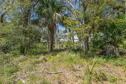 307 Jungle Road, Edisto Beach, SC 29438 - Photo 9