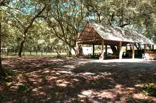 189 Indian Oaks Ln, Cottageville, SC 29435 - Photo 5