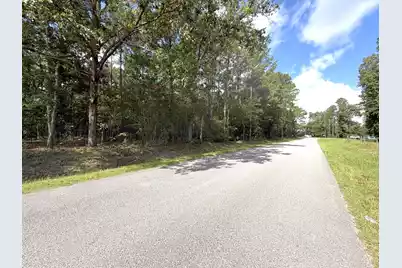76 Honey Drive, Walterboro, SC 29488 - Photo 5
