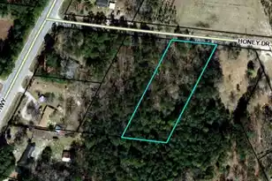 90 Honey Dr, Walterboro, SC 29488 - Photo 1