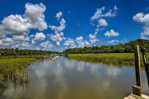 2039 Bentz Rd, Wadmalaw Island, SC 29487 - Photo 7