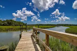 2039 Bentz Rd, Wadmalaw Island, SC 29487 - Photo 51