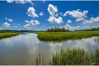 2039 Bentz Road, Wadmalaw Island, SC 29487 - Photo 53