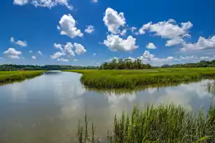 2039 Bentz Rd, Wadmalaw Island, SC 29487 - Photo 53