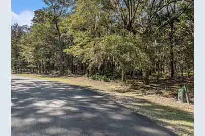 0 Gnarled Oaks Lane, Johns Island, SC 29455 - Photo 5