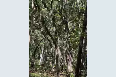 0 Gnarled Oaks Lane, Johns Island, SC 29455 - Photo 27
