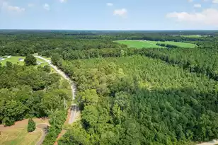 00 First Texas Rd, Saint George, SC 29477 - Photo 1