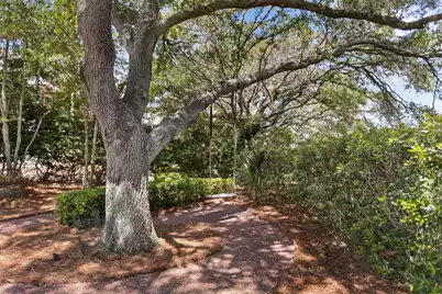 2594 Jenkins Point Road, Seabrook Island, SC 29455 - Photo 73