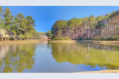 3420 Billings Street, Mount Pleasant, SC 29466 - Photo 49