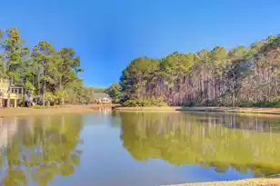 3420 Billings St, Mount Pleasant, SC 29466 - Photo 49