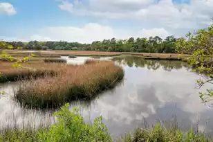 909 Estates Blvd E #Apt C, Charleston, SC 29414 - Photo 33
