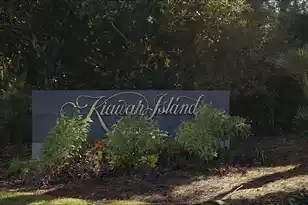 210 Laurelhurst Ln, Johns Island, SC 29455 - Photo 47