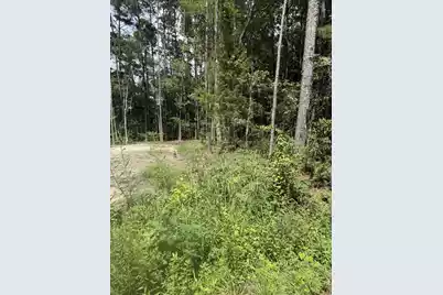0 Mary Ellie Drive, Summerville, SC 29483 - Photo 3