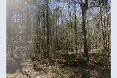 0 Barnhart Drive, Orangeburg, SC 29115 - Photo 3