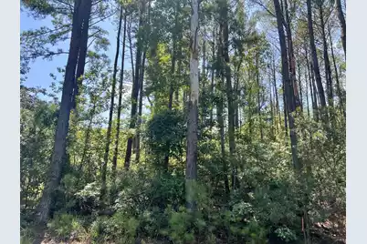 387 Founders Oak Way, Yemassee, SC 29945 - Photo 3