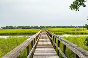 1896 Bowens Island Rd, Charleston, SC 29412 - Photo 69