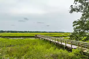 1896 Bowens Island Rd, Charleston, SC 29412 - Photo 79