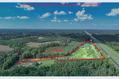 0 Mulberry Road, Saint George, SC 29477 - Photo 1