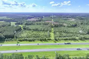 0 Mulberry Rd, Saint George, SC 29477 - Photo 19