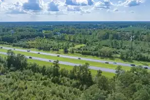 0 Mulberry Rd, Saint George, SC 29477 - Photo 15