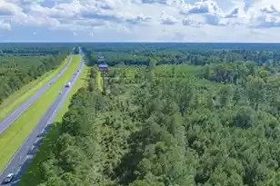 0 Mulberry Rd, Saint George, SC 29477 - Photo 11