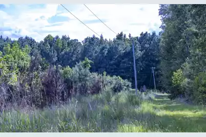 0 Mulberry Road, Saint George, SC 29477 - Photo 7