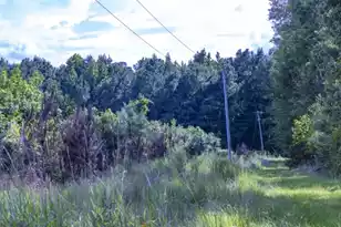 0 Mulberry Rd, Saint George, SC 29477 - Photo 7