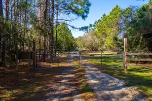 1102 Down Under Ln, Edisto Island, SC 29438 - Photo 27