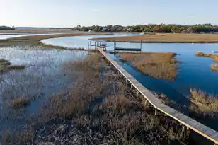 1102 Down Under Ln, Edisto Island, SC 29438 - Photo 41