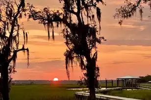 1102 Down Under Ln, Edisto Island, SC 29438 - Photo 53