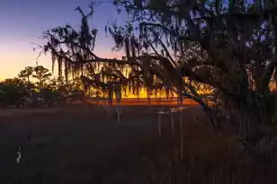 1102 Down Under Ln, Edisto Island, SC 29438 - Photo 61