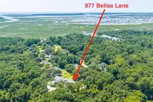 977 Bellas Ln, Awendaw, SC 29429 - Photo 79