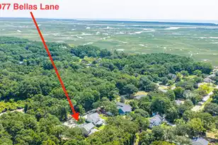 977 Bellas Ln, Awendaw, SC 29429 - Photo 81