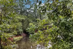 303 Sabal Palmetto Ct, Moncks Corner, SC 29461 - Photo 43