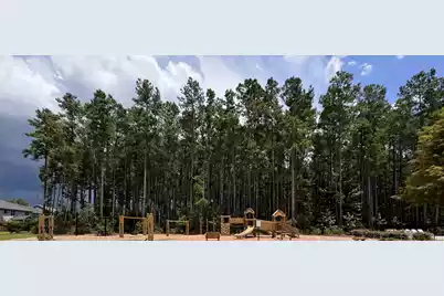 532 Dunswell Drive, Summerville, SC 29486 - Photo 53