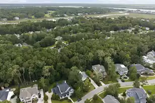 1737 Canning Dr W, Mount Pleasant, SC 29466 - Photo 59