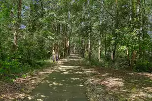 137 Stonehurst Dr, Goose Creek, SC 29445 - Photo 31