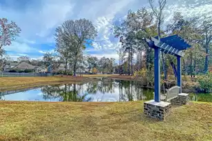212 Gazania Way, Charleston, SC 29414 - Photo 59