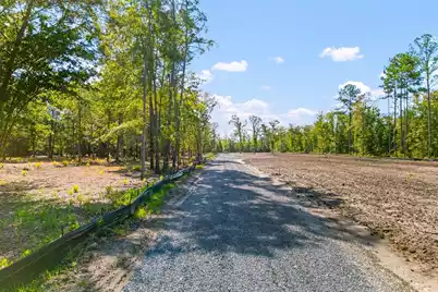 0 Raptor Trail #Lot 1, Ladson, SC 29456 - Photo 3