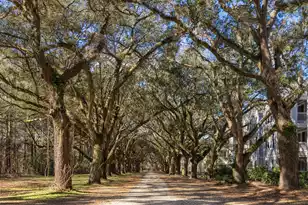 60 Fenwick Hall Allee #226, Johns Island, SC 29455 - Photo 31