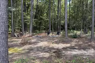 381 Spruce Ivy St, Moncks Corner, SC 29461 - Photo 21