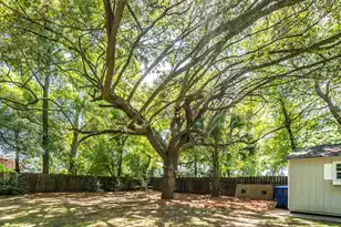 822 Madison Ave W, Charleston, SC 29412 - Photo 51