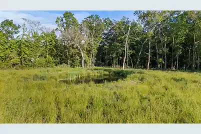 5339 Highway 162, Hollywood, SC 29449 - Photo 5