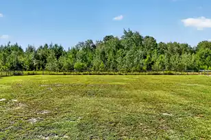 2722 Mudville Rd, Cross, SC 29436 - Photo 71