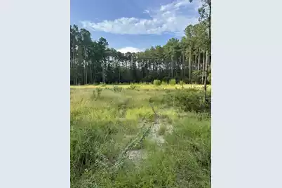 000 Saturn, Walterboro, SC 29488 - Photo 3