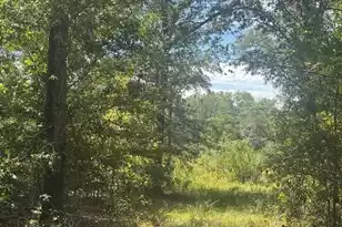 1651 1571 Creek Mill Rd, North, SC 29112 - Photo 1